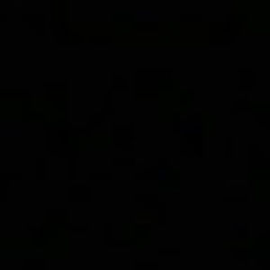 Meet your Posher, Phoebe